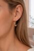 Lark Gleam Earring